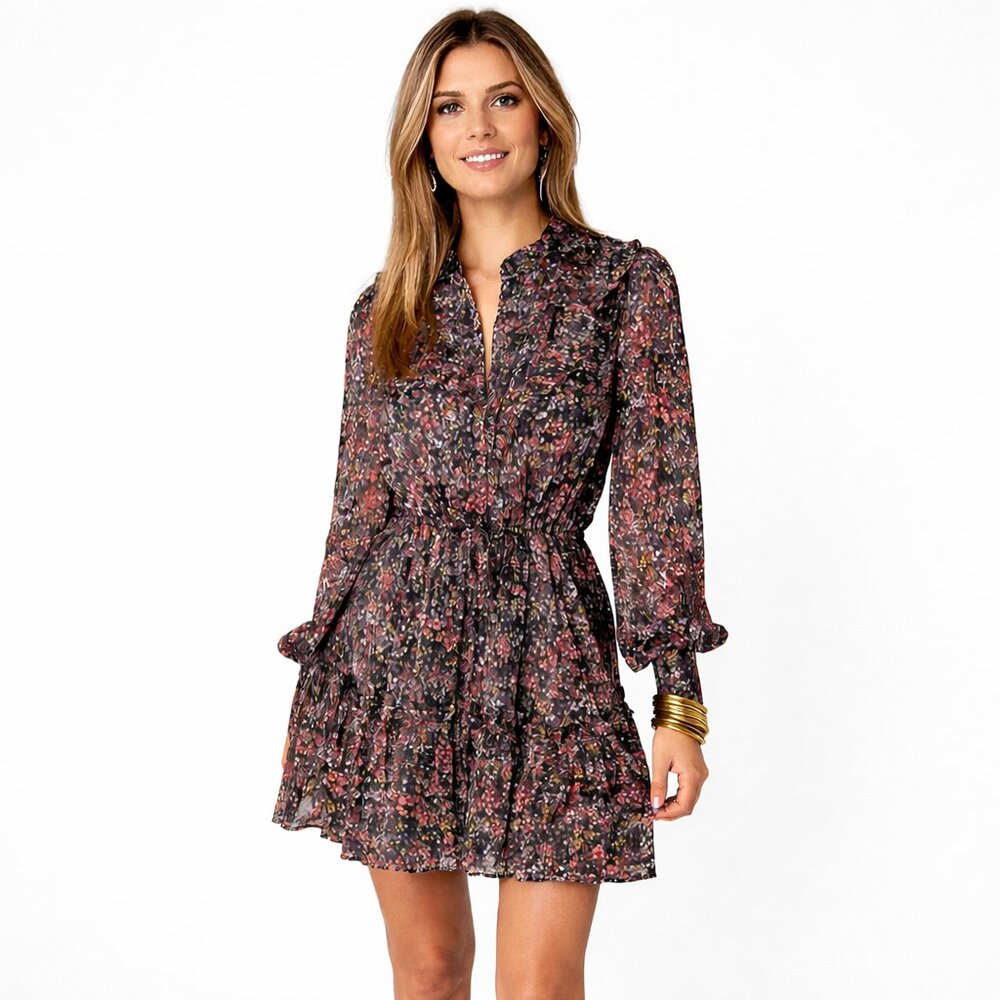 Buddy Love Celia Floral Mini Dress Sheer Long Sleeve Tie Waist Ruffle Cottage XS